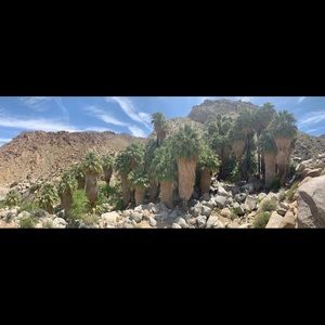 Meet your Posher, Lindsay